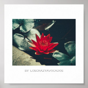 Póster Poster estilizado de plantas de flores de Lily Red