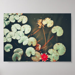 Póster Poster estilizado de plantas de flores de Lily Red