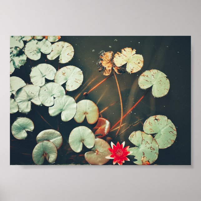 Póster Poster estilizado de plantas de flores de Lily Red (Frente)