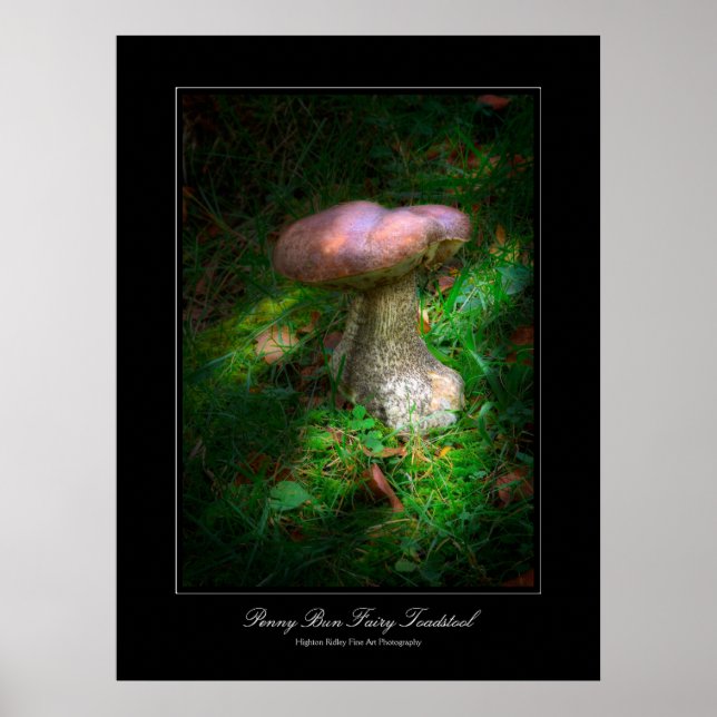 Póster Poster estilo galería Penny Bun Fairy Toadstool (Frente)