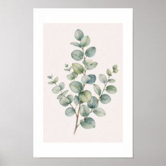 Póster Poster Eucalyptus