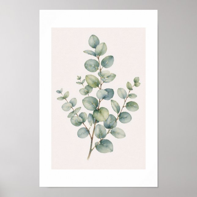 Póster Poster Eucalyptus (Frente)