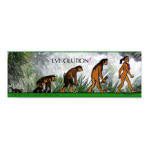 POSTER EVE-OLUTION
