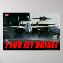 Póster Poster F-14 Jet Noise