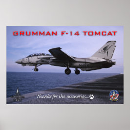 Póster Poster F-14 Tomcat