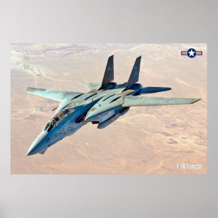 Póster Poster F-14 TOMCAT "DESERT PATROL"