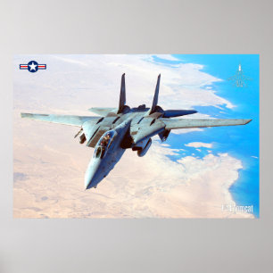 Póster Poster F-14 TOMCAT "DESERT PATROL"