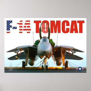 Póster Poster F-14 TOMCAT "FLIGHTDECK"