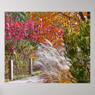 Póster poster "FALL PALETTE"
