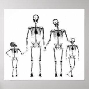 PÓSTER POSTER - FAMILIA DE RAYOS X SKELETON NEGRO Y BLANC