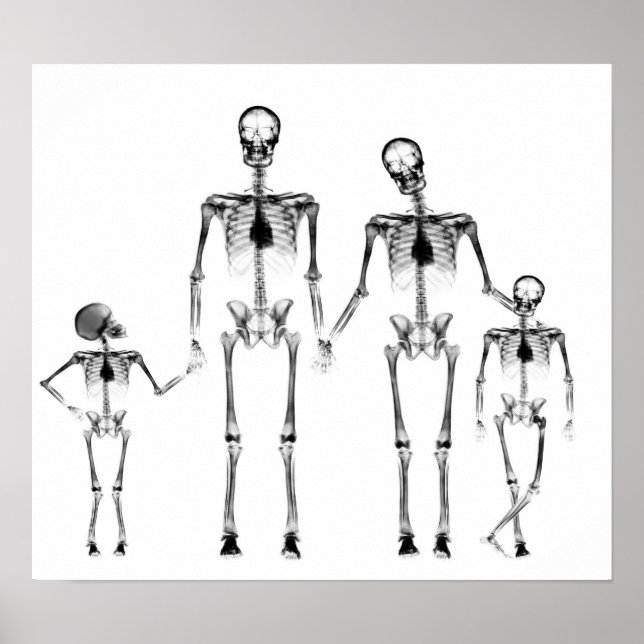 PÓSTER POSTER - FAMILIA DE RAYOS X SKELETON NEGRO Y BLANC (Frente)