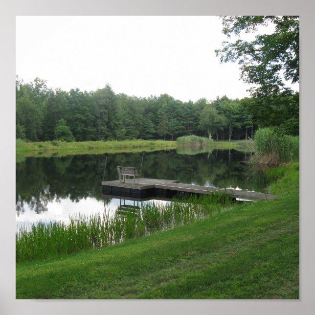 Póster Poster Farm Pond (Frente)