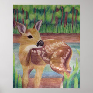 Póster Poster Fawn