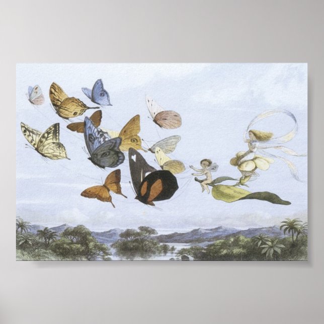 Póster Poster - Fe montando mariposas (Frente)