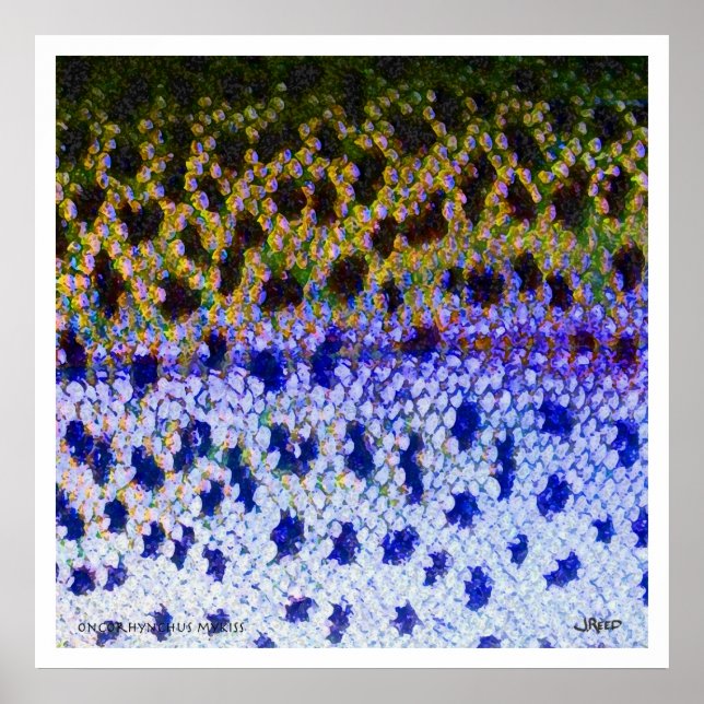 Póster Poster FFF de trucha arco iris (Frente)