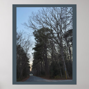 Póster Poster Filas de árboles