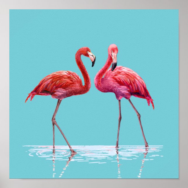 Póster Poster Flamingos (Frente)
