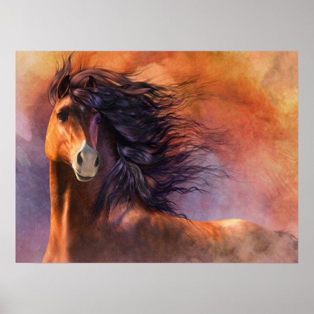 Póster Poster Flash (Frente)