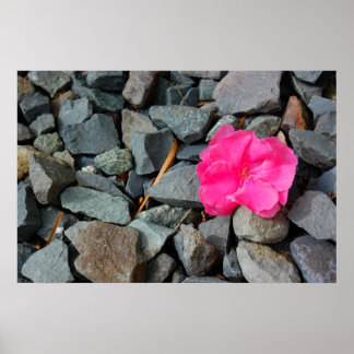 Póster poster "Flor en la tos"