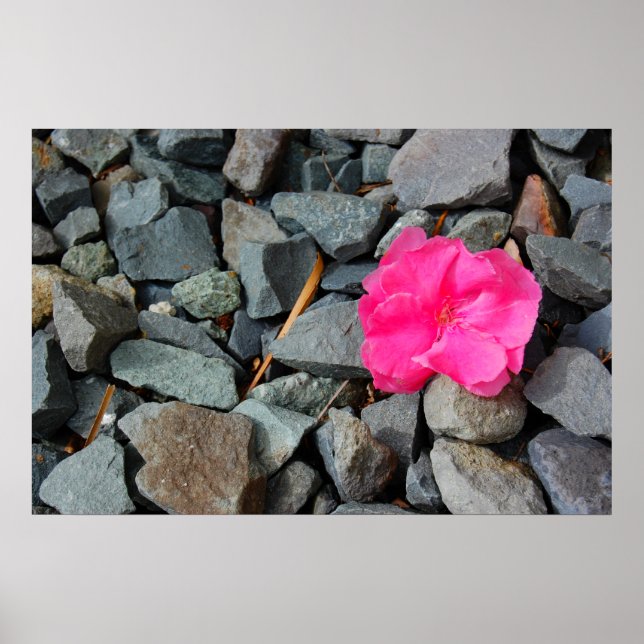 Póster poster "Flor en la tos" (Frente)