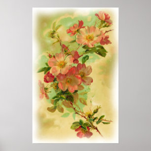 Póster Poster floral del vintage