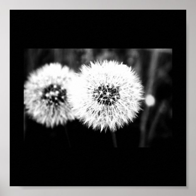 Póster Poster-Flores-141 (Frente)