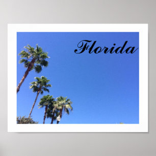 Póster Poster Florida Blue Sky