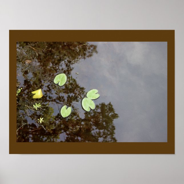 Póster Poster flotante de Waterlilies (Frente)