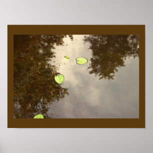 Póster Poster flotante de Waterlilies