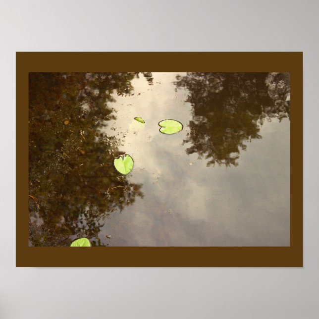 Póster Poster flotante de Waterlilies (Frente)