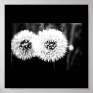 Póster Poster-Flowers-141