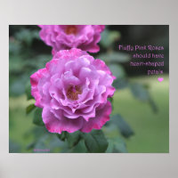 Poster Fluffy Pink Roses: ROSA y PROSE 20x16