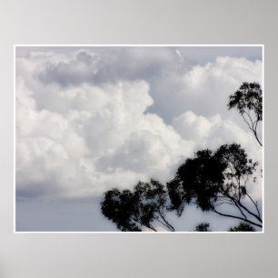 Póster Poster Fluffy Whites