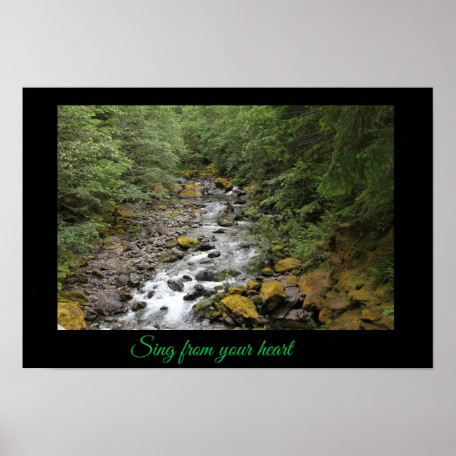 Póster Poster fluvial (Frente)