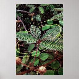 Póster Poster Folhas