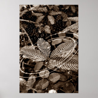 Póster Poster Folhas - Green