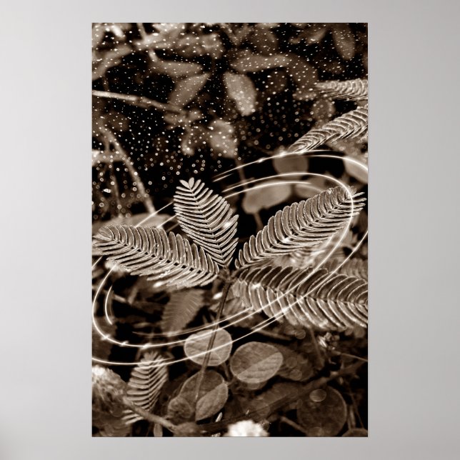 Póster Poster Folhas - Green (Frente)