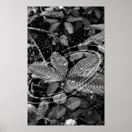 Póster Poster Folhas - P&B