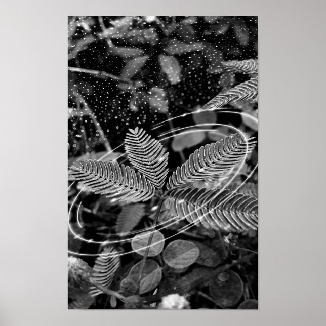 Póster Poster Folhas - P&B (Frente)