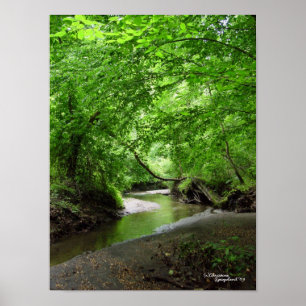 Póster Poster forestal de Curvy Stream Tranquilo