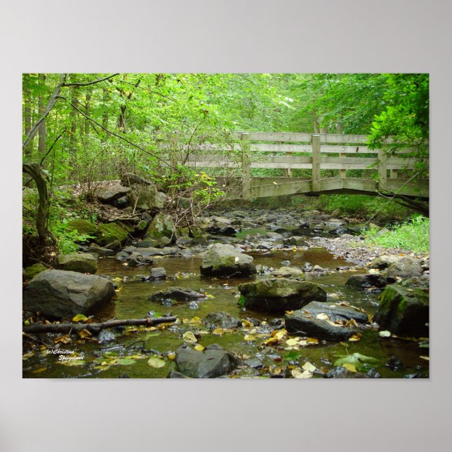 Póster Poster forestal del puente Creek (Frente)