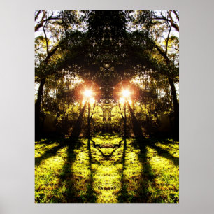 Póster POSTER Forestal DMT 'AURUS