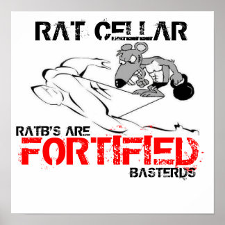 PÓSTER POSTER FORTIFICADO