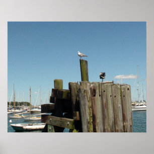 Póster Poster: Foto de Martha's Vineyard