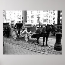 Poster fotográfico blanco negro de caballos y cami