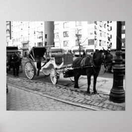 Póster Poster fotográfico blanco negro de caballos y cami