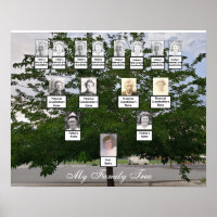 Poster fotográfico de árbol de familia de verano v