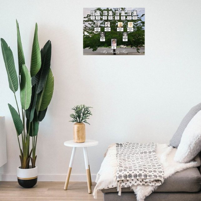 Póster Poster fotográfico de árbol de familia de verano v (Subido por el creador)