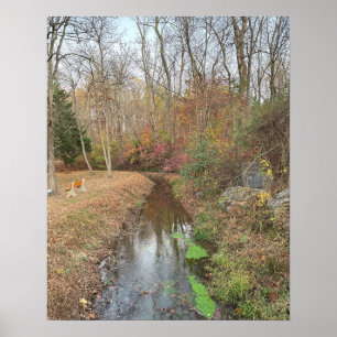 Póster Poster fotográfico de Autumn Creek