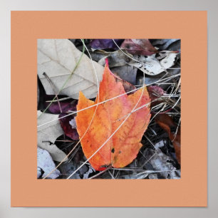 Póster Poster fotográfico de Autumn Leaves